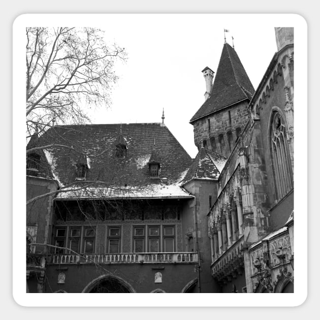 Vajdahunyad Castle, Budapest Sticker by rodneyj46